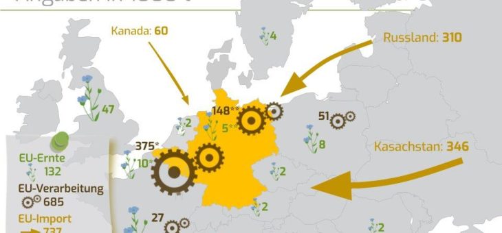 EU entscheidet über die Zukunft von Leinsaaten