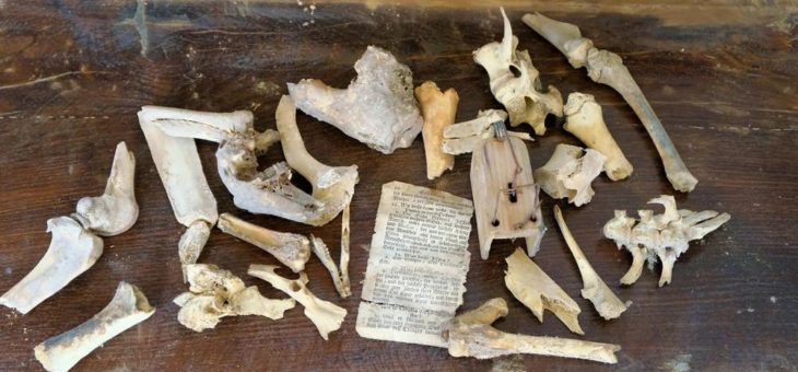 Treppenhaussanierung in Kloster Irsee bringt Schätze der besonderen Art zum Vorschein