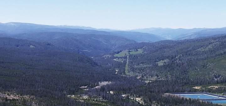 Gold ist immer gefragt