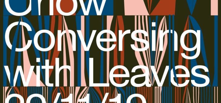 Ausstellung: Uriel Orlow – Conversing with Leaves
