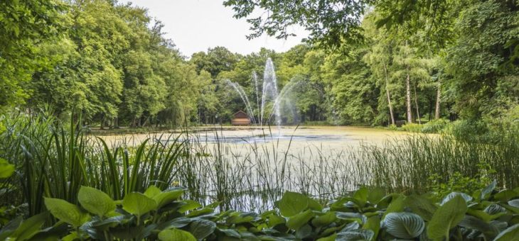 Was blüht denn hier? Auf Spurensuche im Kurpark Bad Aibling