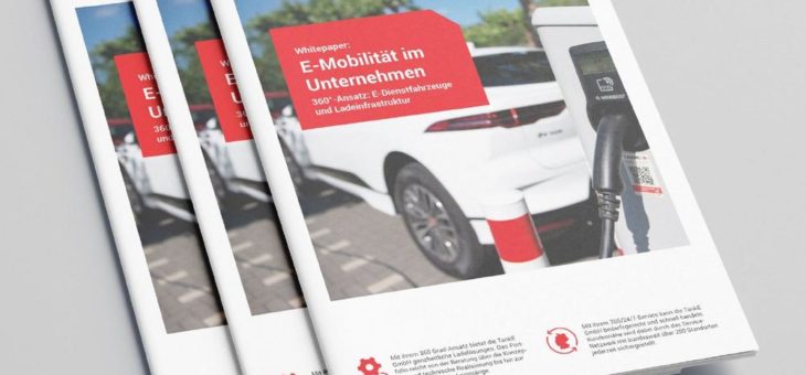 Whitepaper: 360°-Ansatz für E-Mobilität in kommunalen Unternehmen