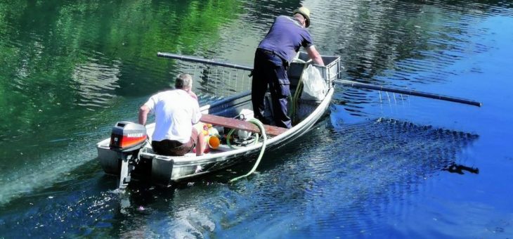 Deutsche Gewässer in schlechtem Zustand – NaturSinn fordert Dialog mit der Landespolitik