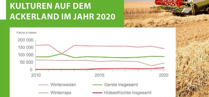 Im Erntejahr 2020 zeigen sich Veränderungen bei der Bodennutzung
