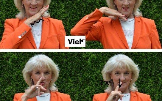 Deutsche Gebärdensprache als kostenloses Ferienprogramm