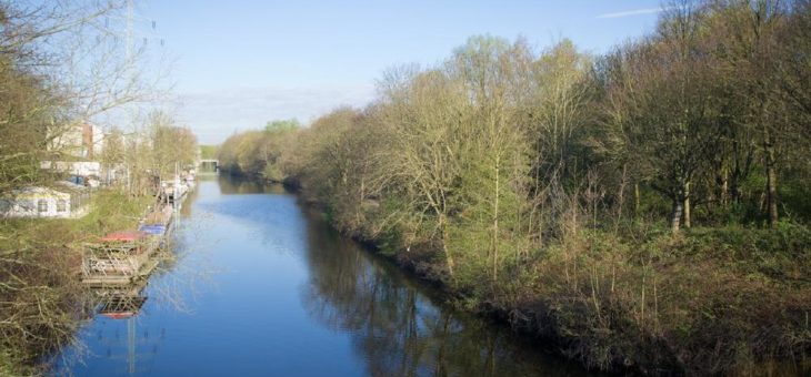 Endspurt für den Wilden Wald in Wilhelmsburg!