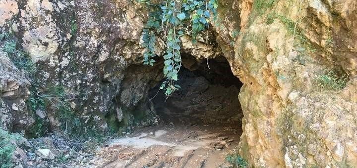 Corona stört viele Bergbau-Gesellschaften, aber nicht alle