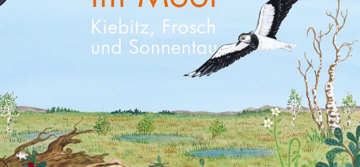 Lebensraum Moor