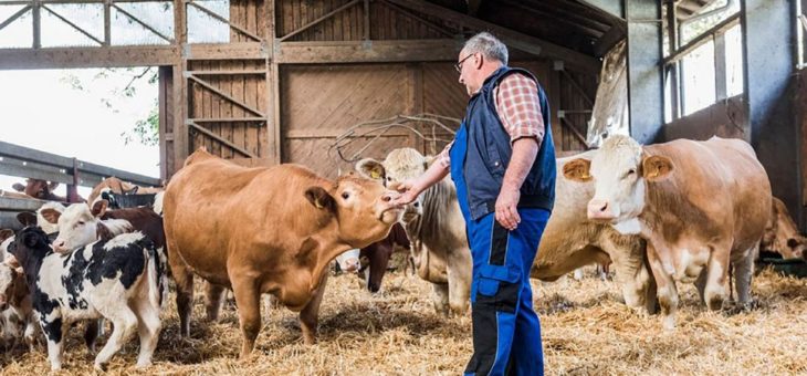 Transgourmet Ursprung für den Deutschen Nachhaltigkeitspreis Design nominiert