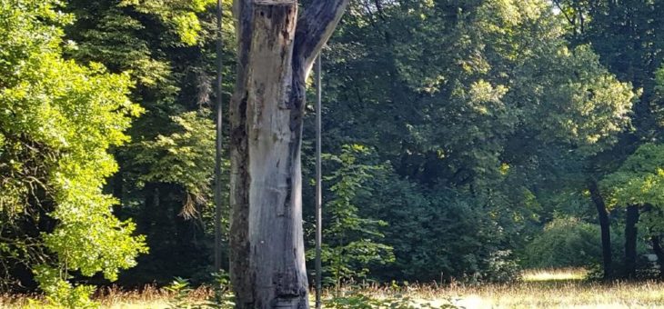 Recycelte Rotorblätter retten Bäume