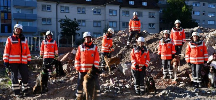 Rettungshunde übten Ernstfall