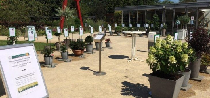 Besucher wählen ihre Lieblingspflanze
