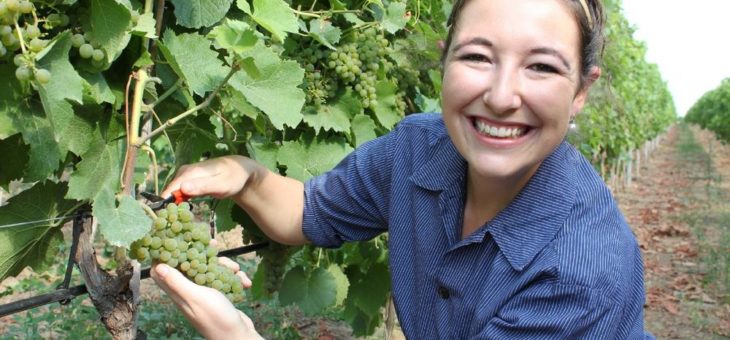 Neuer Wein in einem denkwürdigen Jahr