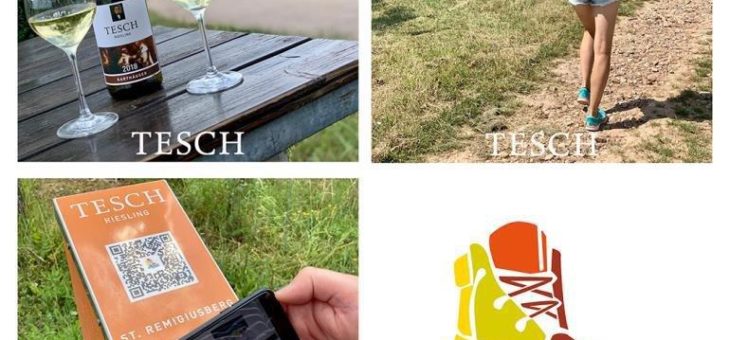 Mit dem Smartphone durch die Weinberge