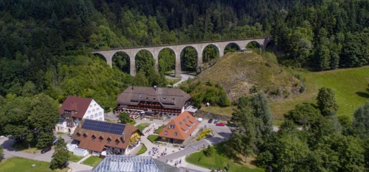 Mehr als Kuckucksuhren und Kirschtorte: Schwarzwald-Tipps für Aktivurlauber