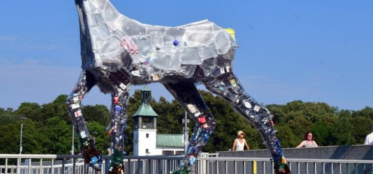 Blühender Trinkwasserschutz der Stadtwerke Augsburg
