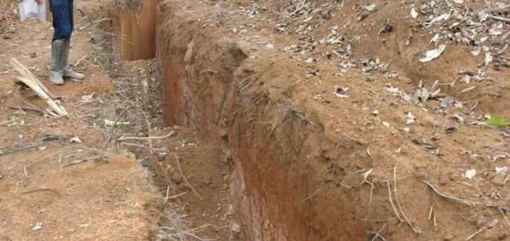 Gold und Royalty-Unternehmen