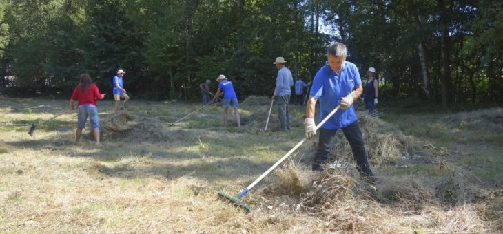Mitmachen beim Moor-Aktionstag!