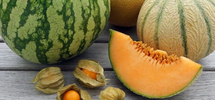 Süddeutsche Melonen und Pfälzer Physalis – Exoten aus heimischem Anbau