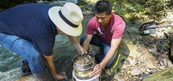 Die nächsten Jahre als goldene Chance