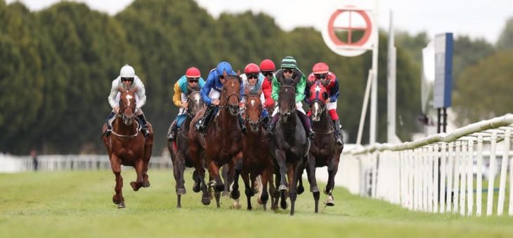 BADEN RACING: Große Woche mit sechs Gruppe-Rennen an fünf Renntagen