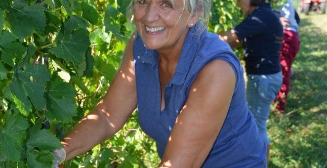 Auftakt zur Weinlese in Baden
