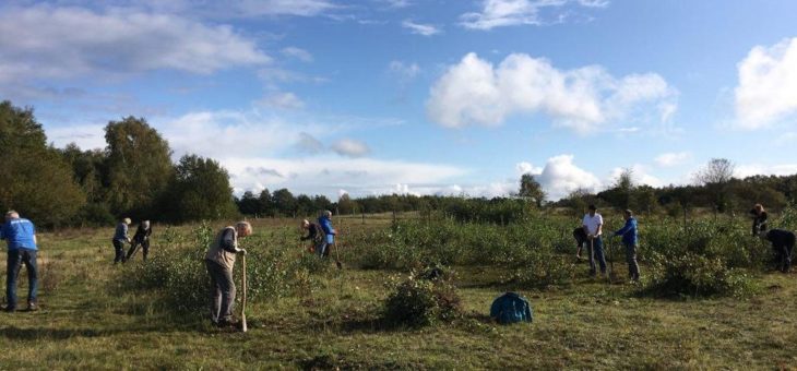 Mehr Platz für Falter im Stellmoorer Tunneltal