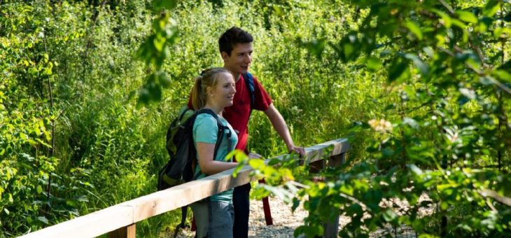 Premiumwanderweg DonAuwald –  Klimaschonendes Wandererlebnis von Anfang an