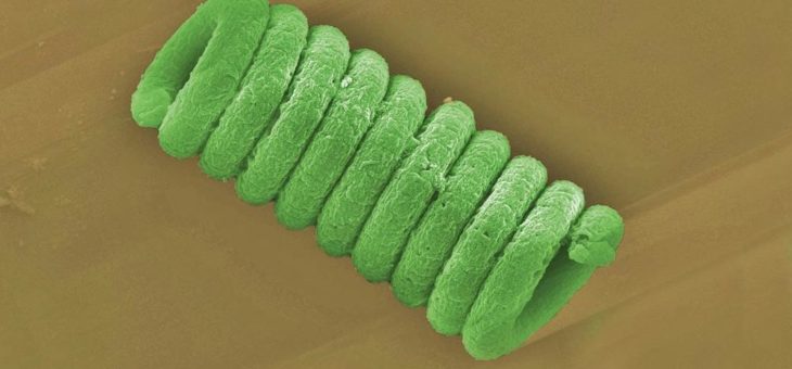 Mini-Kraftwerke aus beschichteten Blaualgen