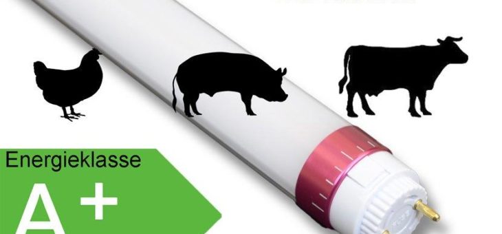 LED MEAT Röhren zur Beleuchtung in Fleischtheken und Kühltruhen