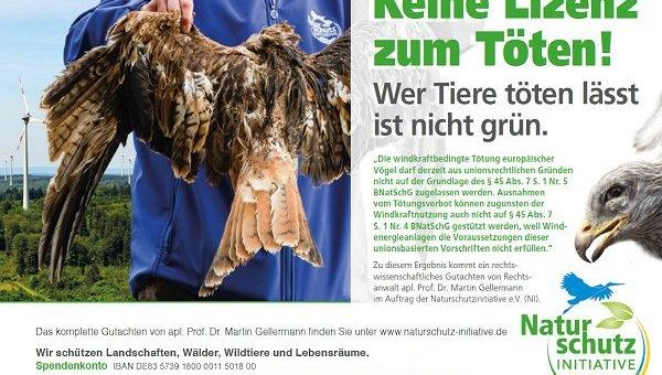 Rechtsgutachten stellt fest: Artenschutzrechtliche Ausnahmen vom Tötungsverbot verstoßen bei Windenergieanlagen gegen europäisches Naturschutzrecht