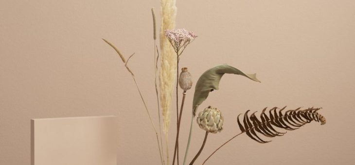 NEU bloomon Flowerstone – Trockenblumen im Fokus