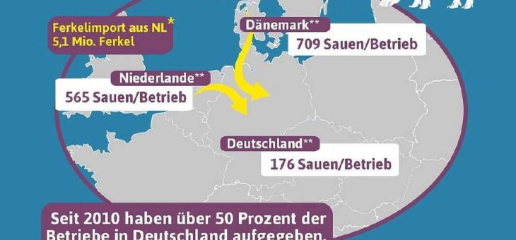 Sauenhaltung muss Zukunft in Deutschland haben