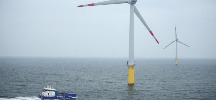 Ems Maritime Offshore mit Versorgung des Offshore-Windparks Trianel Windpark Borkum Phase I während der Betriebsphase beauftragt