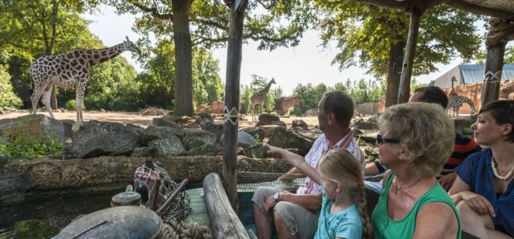 Erlebnis-Zoo erhält Gold-Auszeichnung für Familienfreundlichkeit