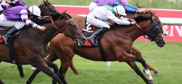 BADEN RACING: „Der alte Mann“ Wai Key Star gewinnt 65. Preis der Sparkassen Finanzgruppe zum Auftakt zur Großen Woche