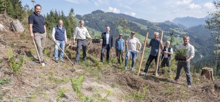 Schutzwald Entlebuch: Helvetia unterstützt Pflanzung nach dem «Guggiföhn»