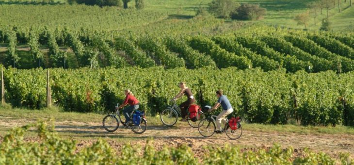 Genussreiche Entdeckungen an der Südlichen Weinstraße
