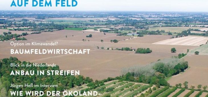 Neues auf dem Feld