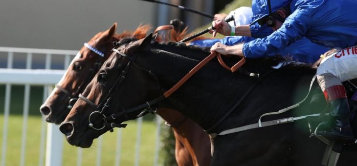 BADEN RACING: Die Scheich-Farben Eins-Zwei im Kronimus Oettingen Rennen am dritten Tag der Großen Woche