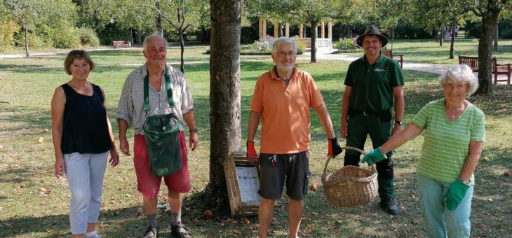 Am Samstag: historische Äpfel aus dem Schlosspark für einen guten Zweck