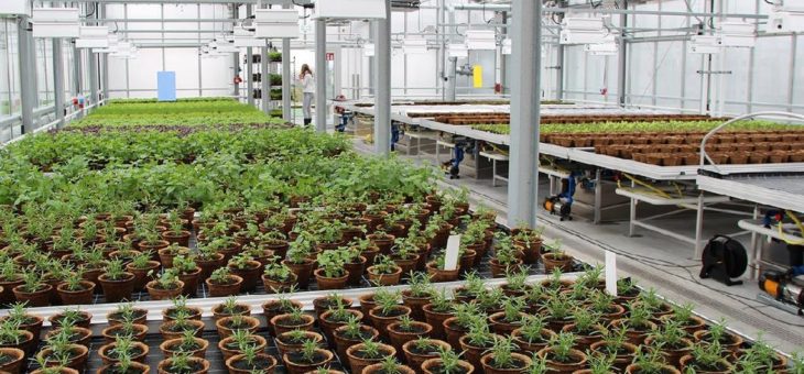 Ein Jahr nachhaltige Lebensmittel aus der Stadt