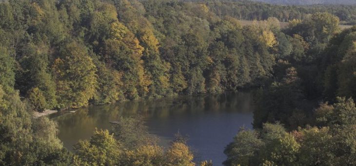Die Zisterzienser und das Wasser: Ulrich Knapp präsentiert die neuesten Forschungen