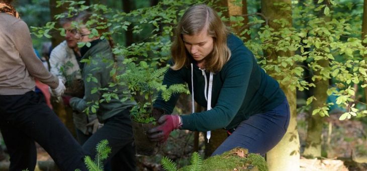 Für Naturschutz und Artenvielfalt: STIHL unterstützt langjährigen Partner Bergwaldprojekt e.V. mit 25.000 Euro