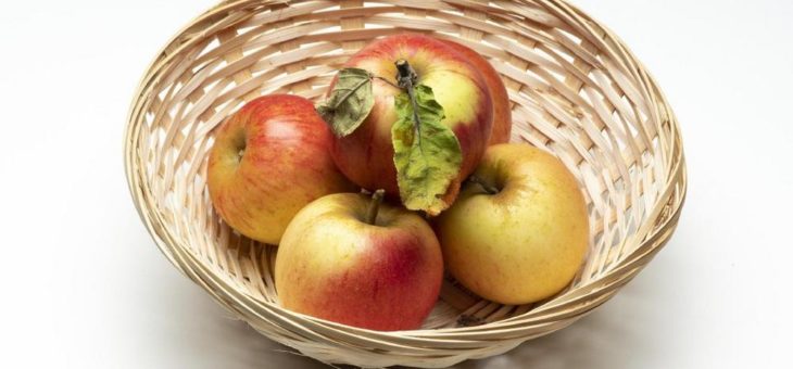 Regionale und lokale Schätze der Streuobstwiesen