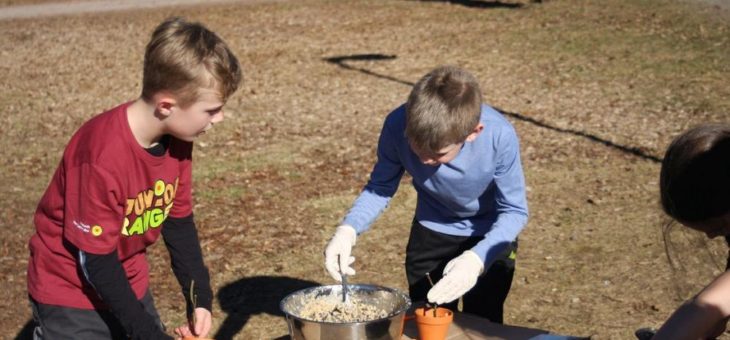 Noch freie Plätze in den Junior Ranger Camps