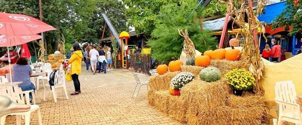 Feiern Sie Halloween mit FUNNY-WORLD!
