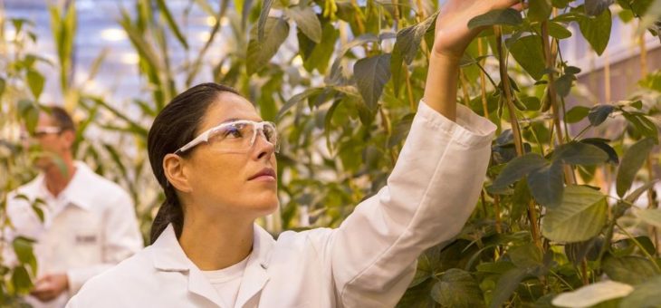 Board & BASF kooperieren zur Optimierung der Vertriebssteuerung