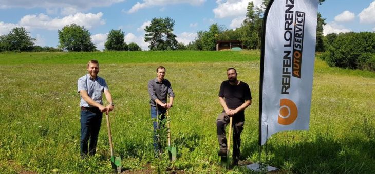 „Reifen für Bäume“: Ein ganz besonderes Umweltprojekt