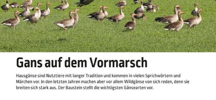Der Landwirtschaft ganz nah – beim Lernen auf Distanz